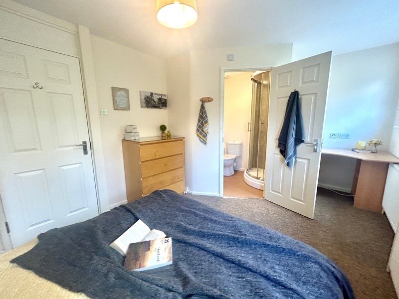 Looking for someone to join our cozy flat